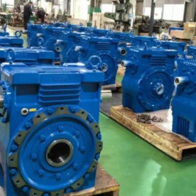 What are the common problems and solutions for worm gear reducers?