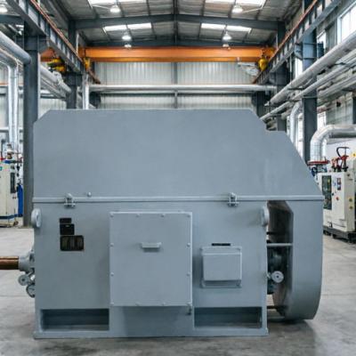 10000V 1250kW Ami Series Asynchronous Electric Motor for Pump Application
