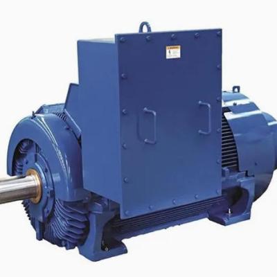 1250 Kilowatt High-Voltage Motor with Fin Cooling System, Rated Voltage 6000V