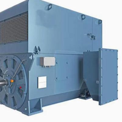 1250kW to 2300kW Three Phase Medium Voltage Electric Induction Motor 600rpm 3000V 50Hz AMI 560L10AB