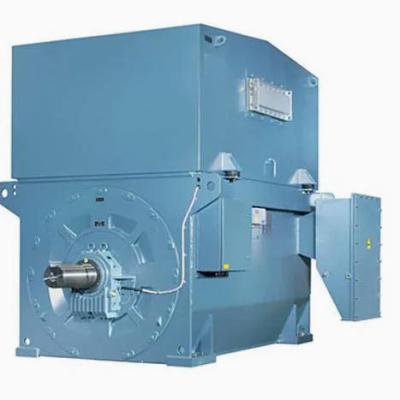 630 to 1100kW 6kV 3 Phase Squirrel Cage Induction Motor 1500rpm IP55 AMI 400L4A