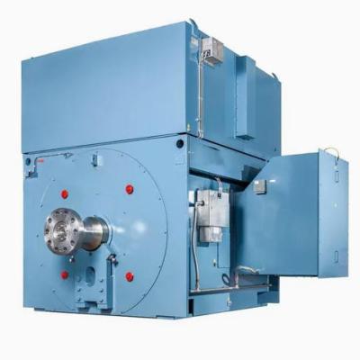 710kW 2P AMI400L2A MV Induction Motor 3000V 50Hz