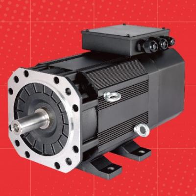 AC Induction Servo Motor