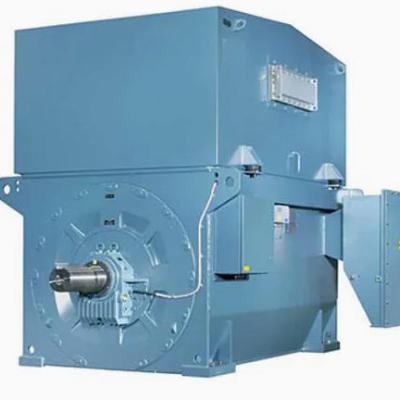 AMI 400L12A Three Phase High Voltage Motor 180 245kW 10P 6kV Modular Induction Motor for Fan Pump Mill Compressor