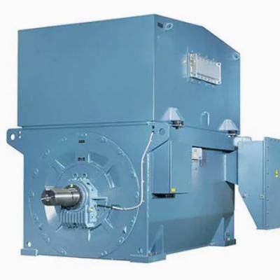 AMI 450L2A Three Phase High Voltage Squirrel Cage Induction Motor 1250kW 1800kW 6000V 50Hz 3000rpm IP55 IC611