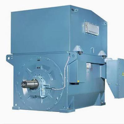 AMI 450L10A 400 to 650kW 6kV 10 Pole 50Hz Three Phase High Voltage Induction Motor for Cement Plant Applications