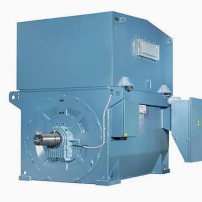 AMI 450L2W 3 Phase High Voltage AC Induction Motor 1400 to 2200kW 3000V 50Hz IP24W IC01 Cooling