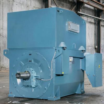 AMI450L10W AC Modular Induction Motor 3kV 500 to 780 kW 10 Pole IP24