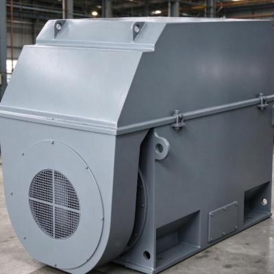 Ami Series 2000kw 6000V High Voltage Asynchronous Electric Motor