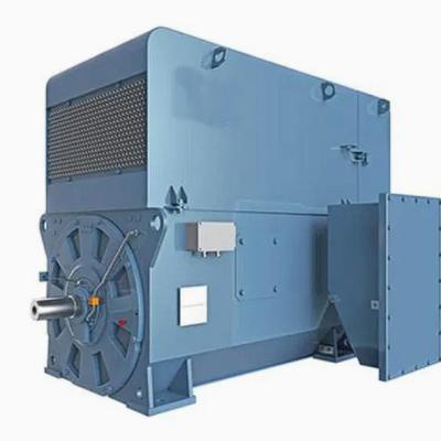 High Efficient High Voltage Asynchronous Induction Motor 4150kw 5600kw 6000V IC611 IP55 S1 AMI630L6AB