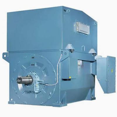 High Voltage 3 Phase Induction Motor 560kw 850kw 500rpm 3000V 50Hz AMI500L12A