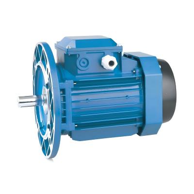 MS series electric motors