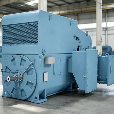 NMK 710L4l 8000 10000kW High Voltage Slip Ring Induction Motor 6000V  IC81W IP55
