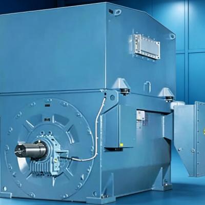 Three Phase AC Electric Induction Motor 1250 to 1800 kW 3000V 8P IP24 IC01 Cooling AMI 500L8W Frame