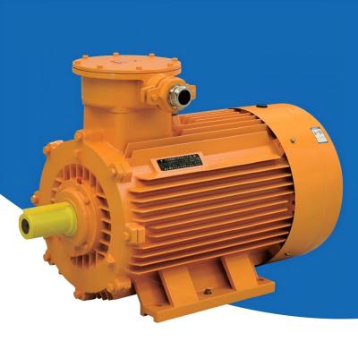 YBX4-BT4 series electric motors