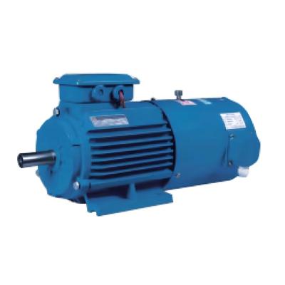 YEJVF series electric motors